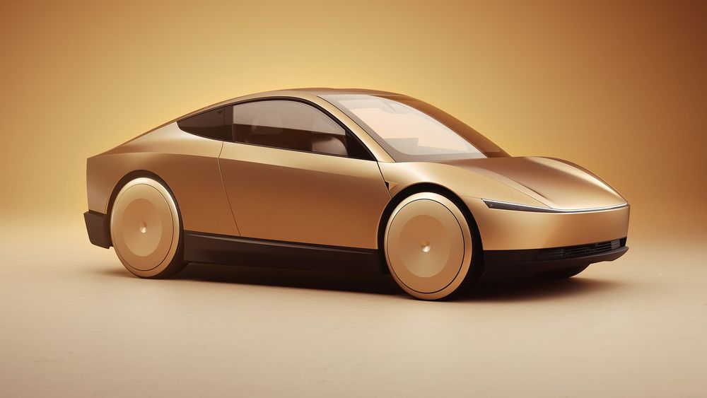 Testing revealed safety issues with the Robotaxi and other self-driving Tesla models, but the suit alleges that those weren’t disclosed to shareholders.